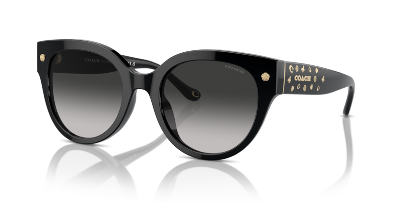 Coach HC8393U - CR612 Sunglasses | Select Eyewear
