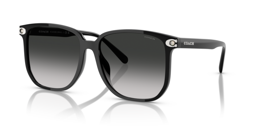 Coach HC8413BD - CW419 Sunglasses | Select Eyewear