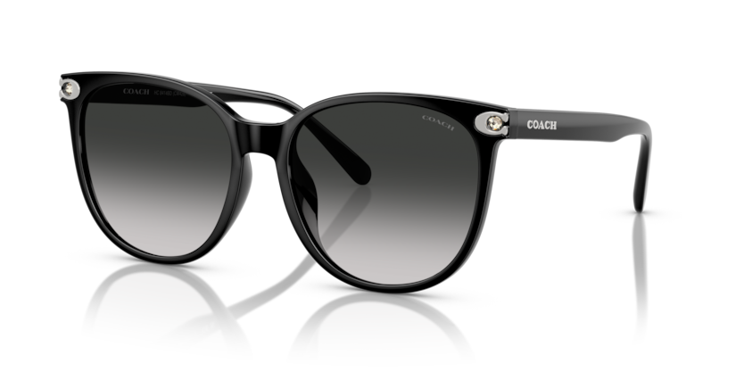 Coach HC8414BD - CW428 Sunglasses | Select Eyewear
