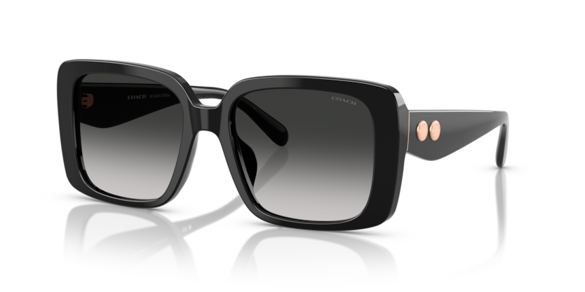 Coach HC8424F - CAD55 Sunglasses | Select Eyewear