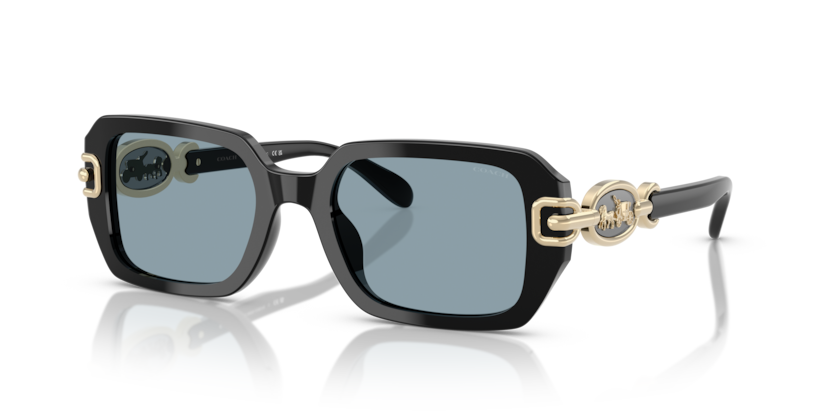 Coach HC8425U - CAD74 Sunglasses | Select Eyewear