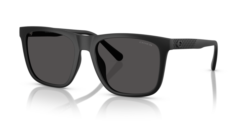 Coach HC8427U - CAE78 Sunglasses | Select Eyewear