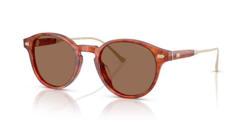 Coach HC8428U - CAD83 Sunglasses | Select Eyewear