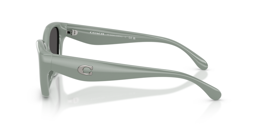 HC8434U - CBY91