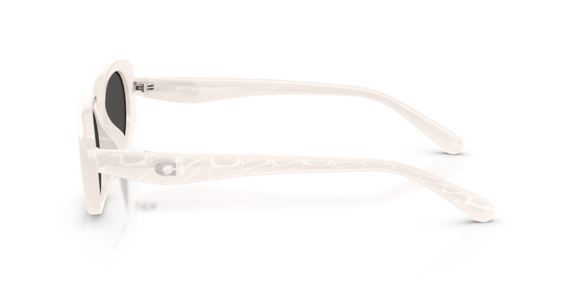HC8443D - CBY84