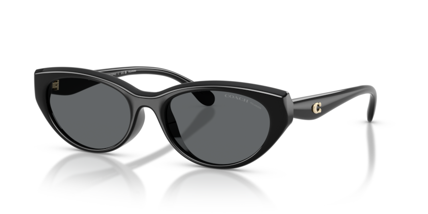 HC8456D - CDP42
