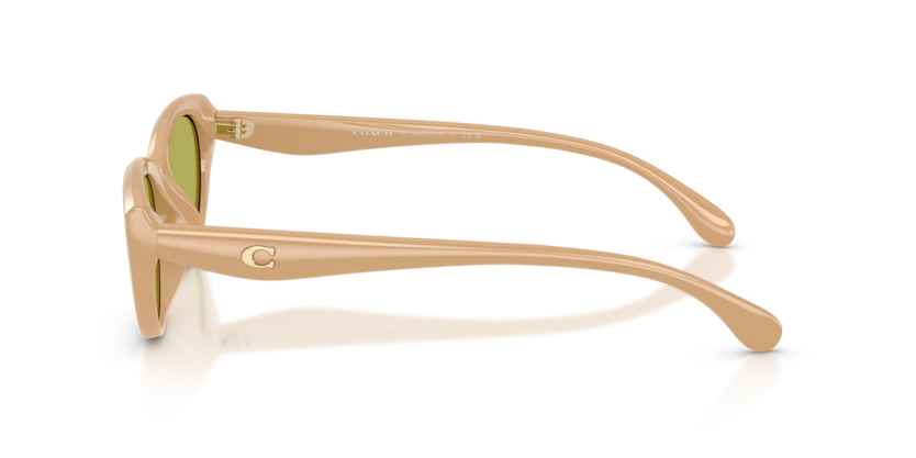 HC8456D - CDP42