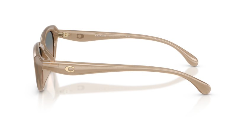 HC8456D - CDP42