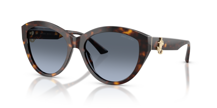 jimmy choo goggles Jimmy Choo JC5007 500213 55 Sunglasses