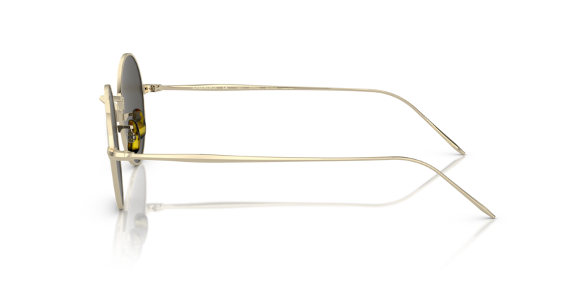 OV1293ST - G. PONTI-3