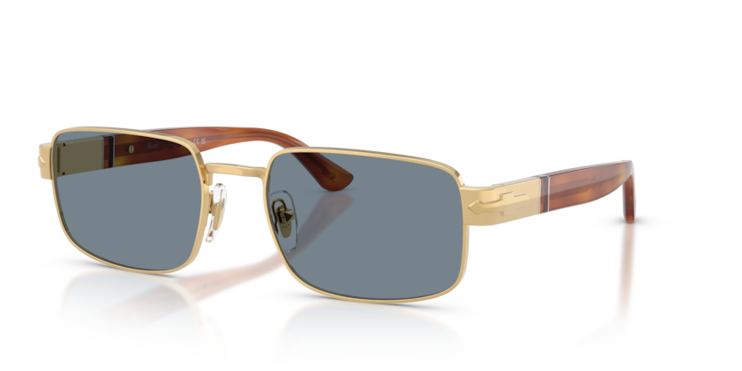 PO1022S