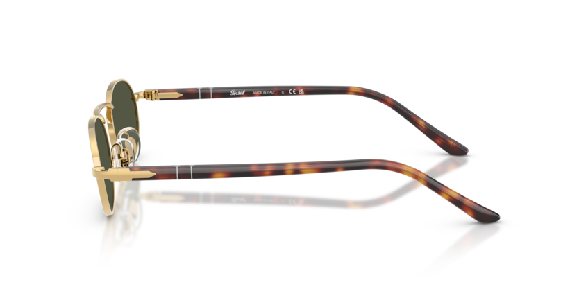 PO1023S