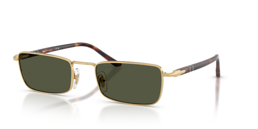 PO1025S