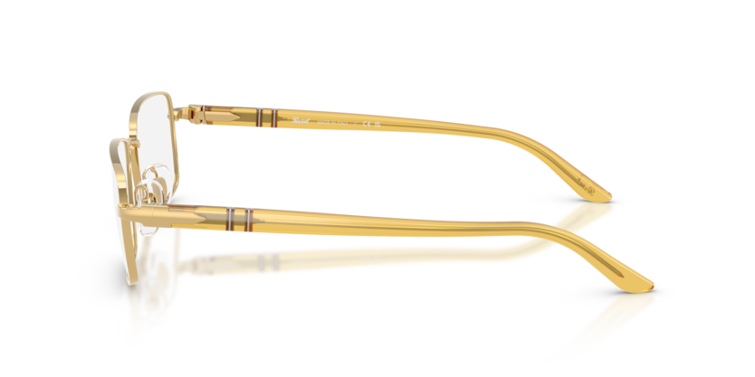 PO1029V