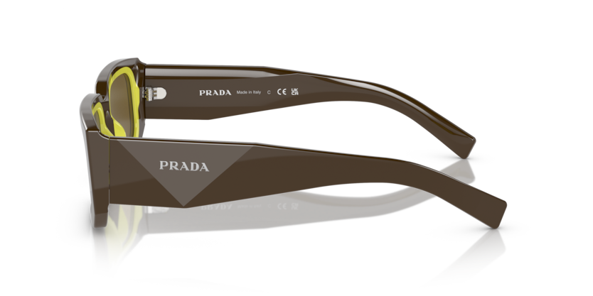 PR 06YS