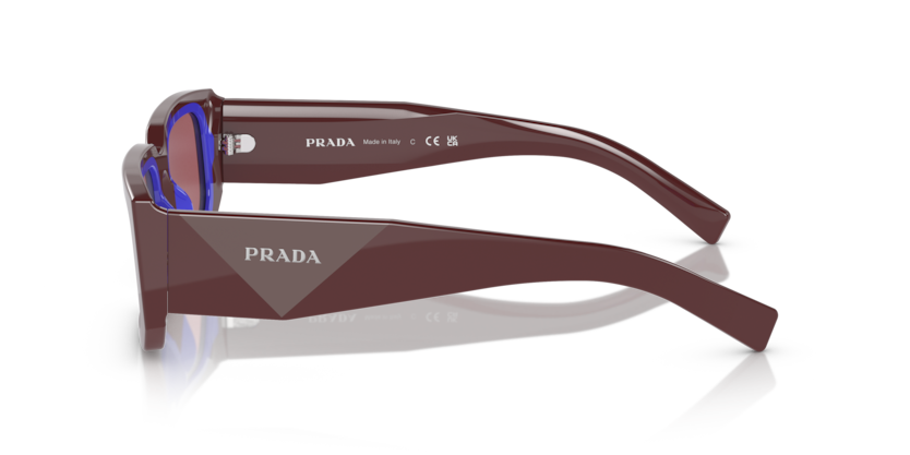 PR 06YS