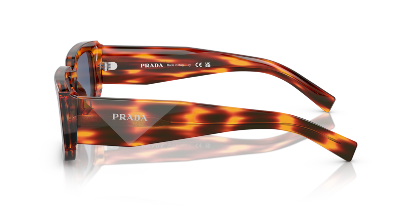 PR 06YS