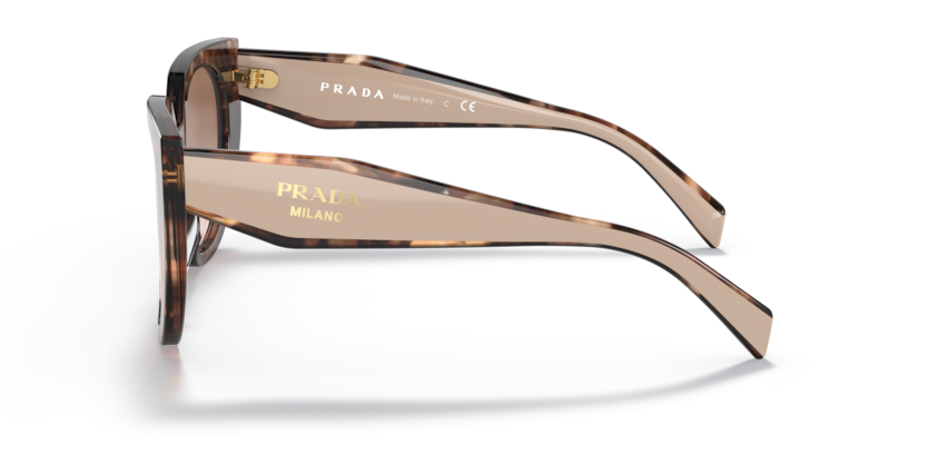PR 14WSF