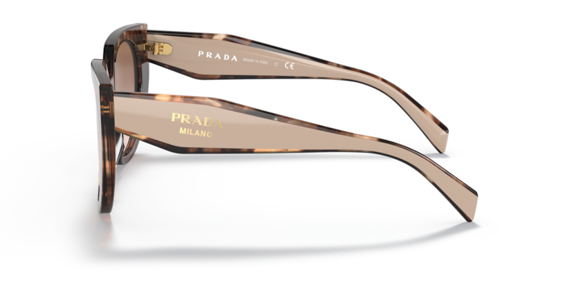 PR 14WS
