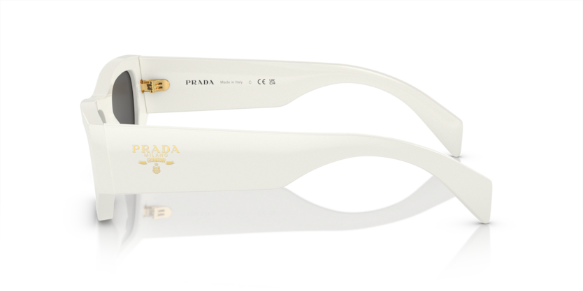 PR A01S