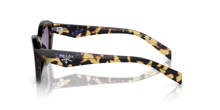 PR A02SF