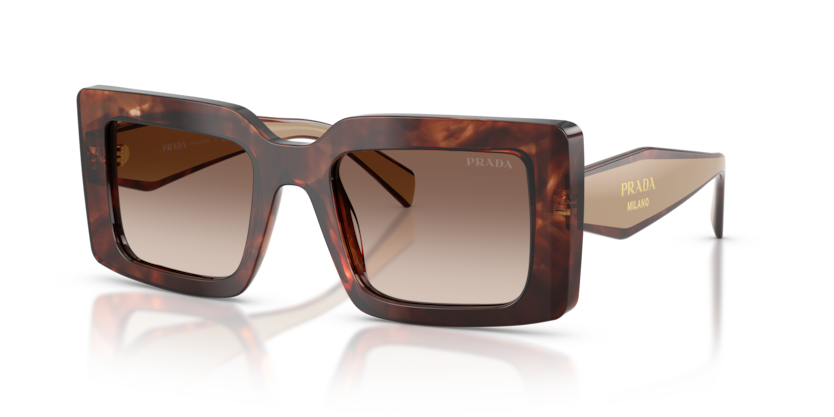 PR D01S