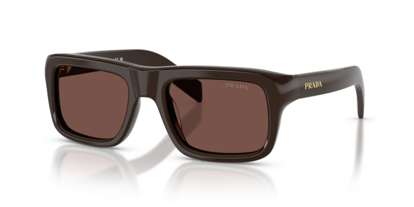 PR D11S