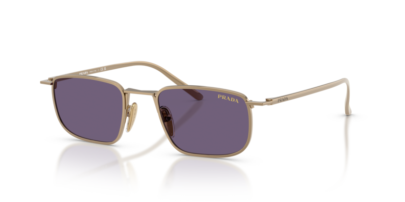 PR D52S