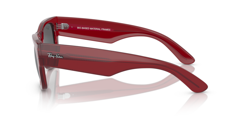 RB0840S - MEGA WAYFARER