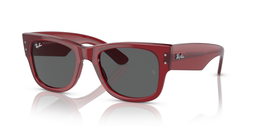 RB0840S - MEGA WAYFARER