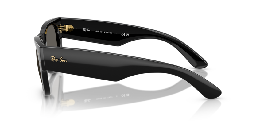 RB0840S - MEGA WAYFARER