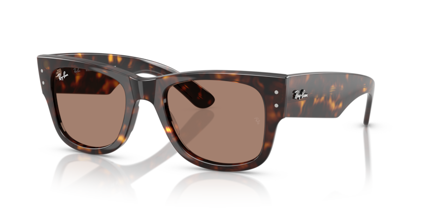 RB0840S - MEGA WAYFARER