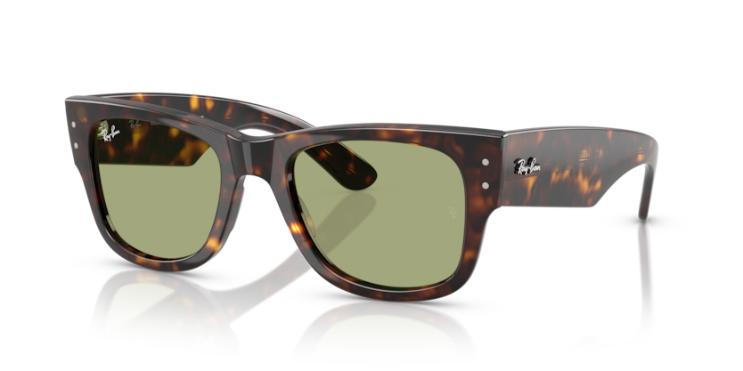 RB0840S - MEGA WAYFARER