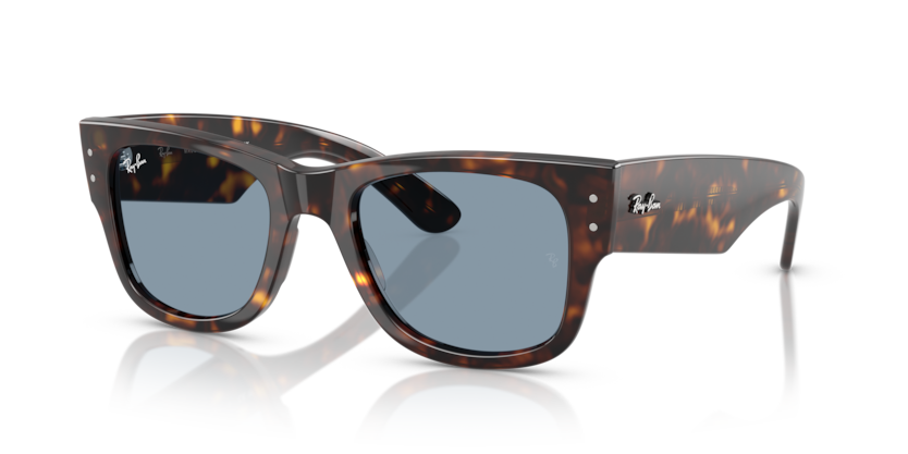 RB0840S - MEGA WAYFARER