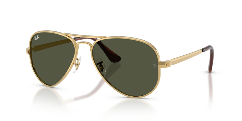 RB3925 - AVIATOR MAX