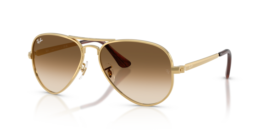 RB3925 - AVIATOR MAX