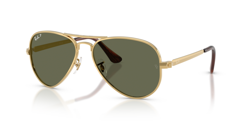 RB3925 - AVIATOR MAX