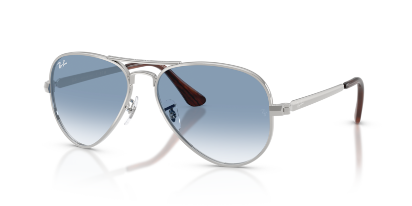 RB3925 - AVIATOR MAX