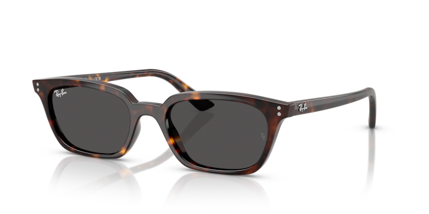 Ray-Ban RB4456 - ZAYA Sunglasses | Select Eyewear
