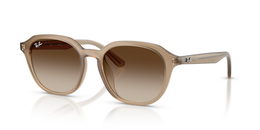 Ray Banサングラスrb4459d Ray-Ban RB4459D Sunglasses | Select Eyewear