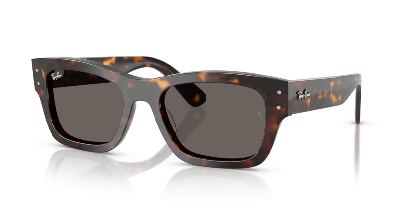 Ray-Ban RB7683S - JOSEPH Sunglasses | Select Eyewear