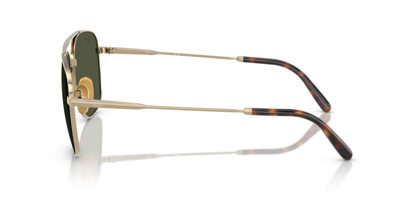 RB8097 - WILLIAM TITANIUM