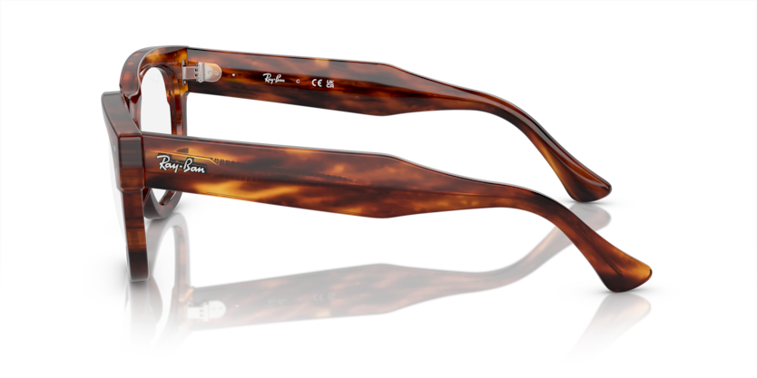 RX0298V - MEGA HAWKEYE