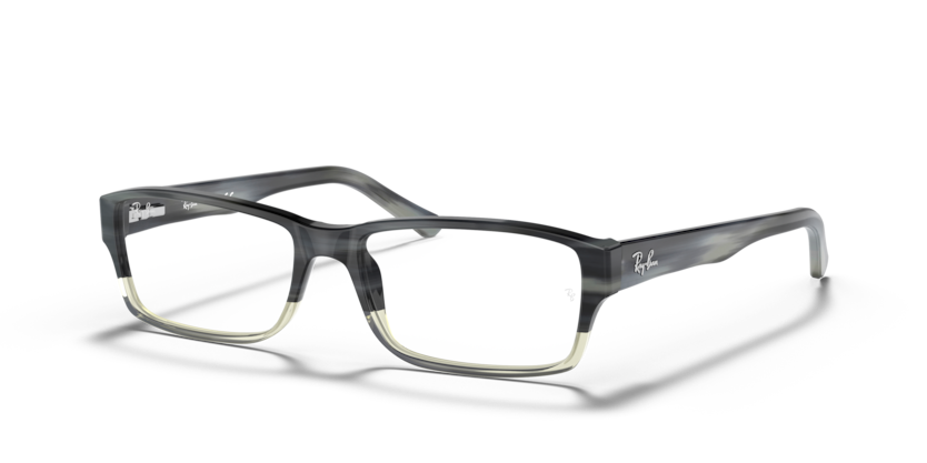 Ray-Ban RX5169 Eyeglasses | Select Eyewear