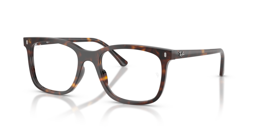 _rxx_ Ray-Ban RX5446 Eyeglasses | Select Eyewear