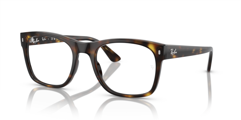Ray-Ban RX7228 Eyeglasses | Select Eyewear