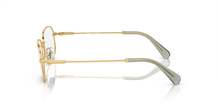 SK1005
