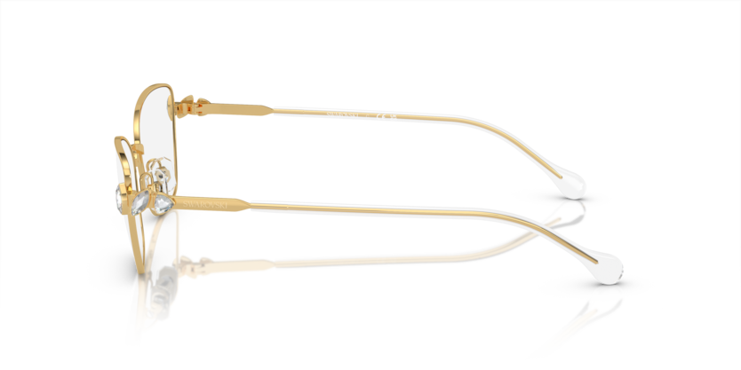 SK1006