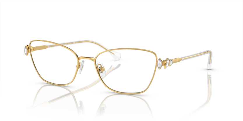 SK1006