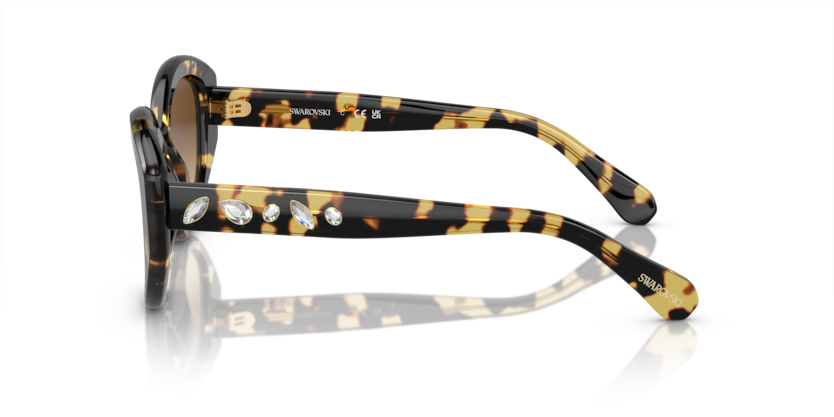 SK6005
